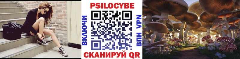 кракен зеркало  Ставрополь  Галлюциногенные грибы мицелий 